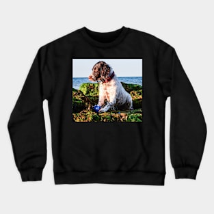 English Springer Crewneck Sweatshirt